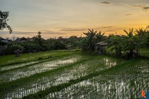 5 bedrooms Villa in Kerobokan, Badung, Indonesia No. 10901 10