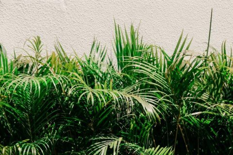 Вилла с 2 спальнями в Seminyak, Бадунг, № 8895 2