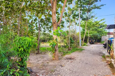 Земельный участок в Nusa Dua, Бадунг, Индонезия № 13102 3