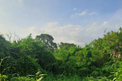 2950m2 Land in Canggu, Badung, No. 9393 5