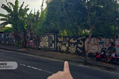 2950m2 Land in Canggu, Badung, No. 9393 8