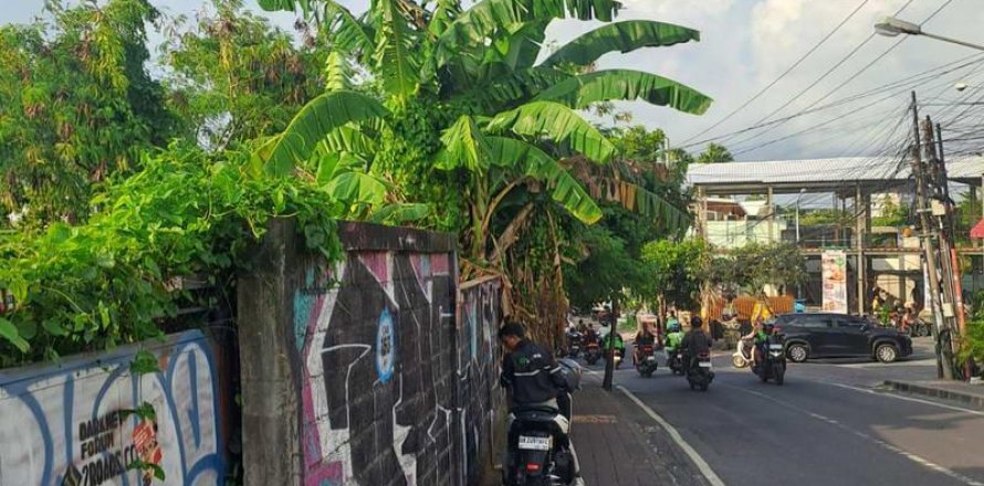 2950m2 Land in Canggu, Badung, No. 9393