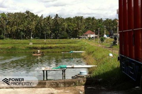 49000m2 Land in Negara, Jembrana,  No. 9532 6