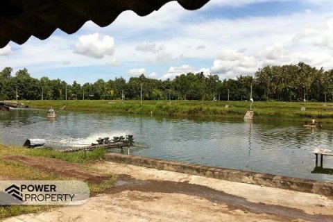 49000m2 Land in Negara, Jembrana,  No. 9532 2