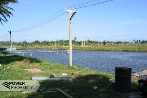 49000m2 Land in Negara, Jembrana,  No. 9532 5