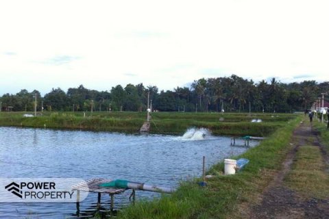 49000m2 Land in Negara, Jembrana, No. 9532