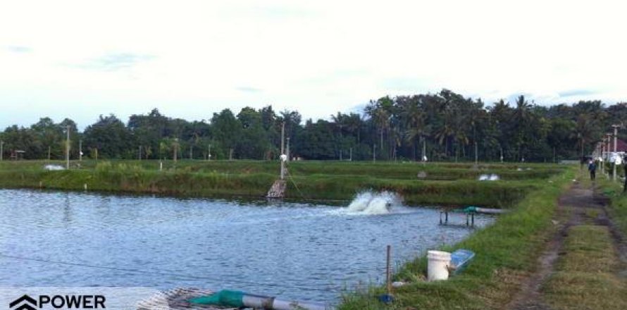 49000m2 Land in Negara, Jembrana,  No. 9532