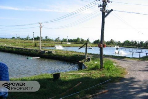 49000m2 Land in Negara, Jembrana,  No. 9532 3