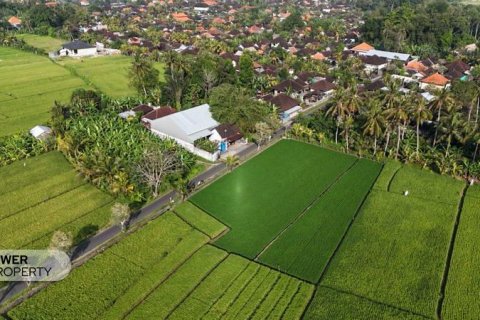 1650m2 Land in Tabanan,  No. 9533 4