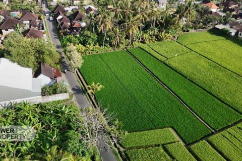 1650m2 Land in Tabanan,  No. 9533 6