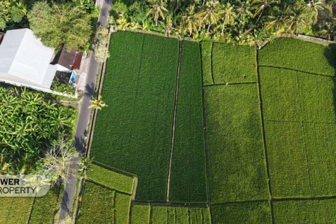 1650m2 Land in Tabanan,  No. 9533 2