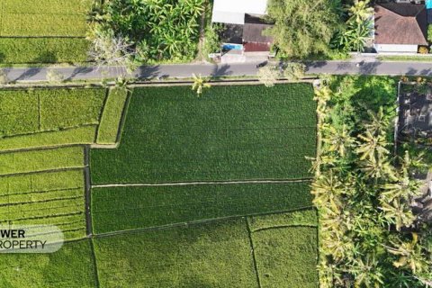1650m2 Land in Tabanan,  No. 9533 7