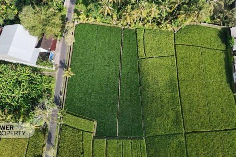 1650m2 Land in Tabanan,  No. 9533 9