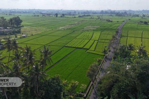 1650m2 Land in Tabanan,  No. 9533 3