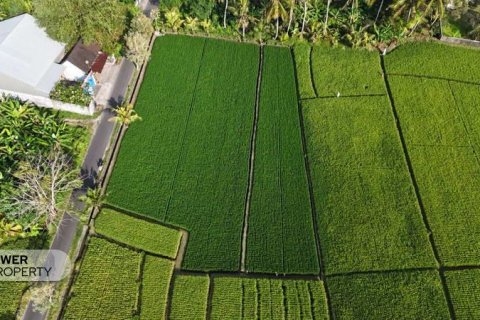 1650m2 Land in Tabanan,  No. 9533 8
