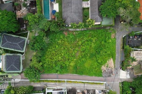 Земельный участок 995м2 в Canggu, Бадунг,  № 9219 4