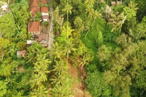 Земельный участок 500м2 в Buwit, Kediri, Табанан, Индонезия № 13481 5