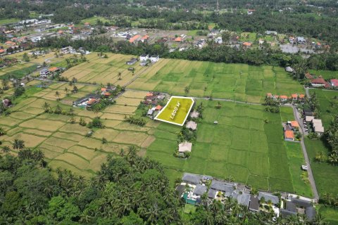 1800m2 Land in Gianyar, Indonesia No. 13476 4
