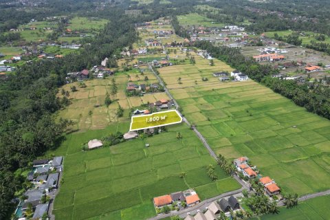 1800m2 Land in Gianyar, Indonesia No. 13476 5
