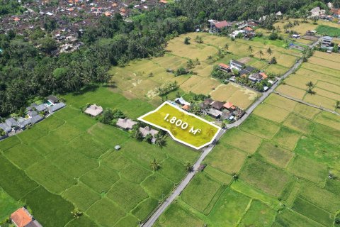 1800m2 Land in Gianyar, Indonesia No. 13476 2