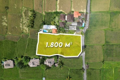 1800m2 Land in Gianyar, Indonesia No. 13476