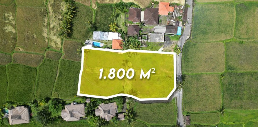 1800m2 Land in Gianyar, Indonesia No. 13476
