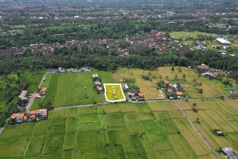 1800m2 Land in Gianyar, Indonesia No. 13476 3
