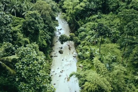 3300m2 Land in Tabanan, Indonesia No. 13480 3