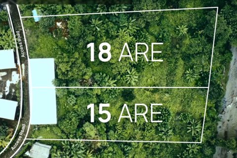3300m2 Land in Tabanan, Indonesia No. 13480
