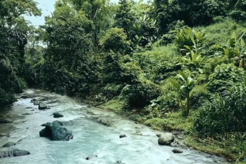 3300m2 Land in Tabanan, Indonesia No. 13480 4