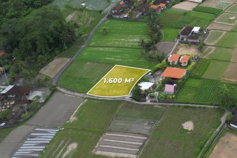 1600m2 Land in Sukawati, Gianyar, Indonesia No. 13475 6