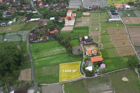 1600m2 Land in Sukawati, Gianyar, Indonesia No. 13475 2