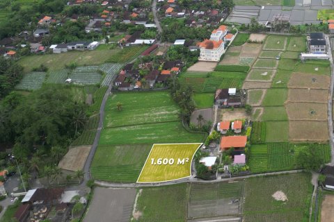 1600m2 Land in Sukawati, Gianyar, Indonesia No. 13475 3