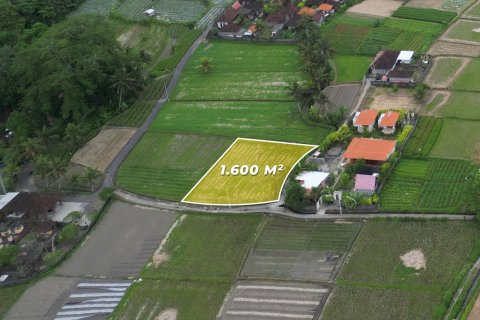 1600m2 Land in Sukawati, Gianyar, Indonesia No. 13475 5