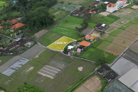 1600m2 Land in Sukawati, Gianyar, Indonesia No. 13475