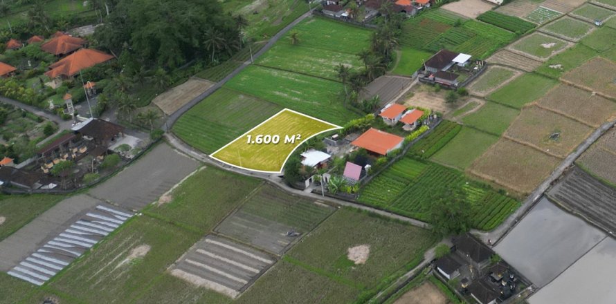 1600m2 Land in Sukawati, Gianyar, Indonesia No. 13475