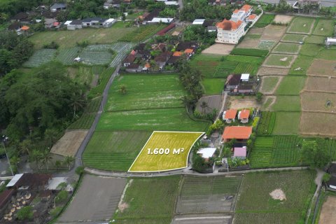 1600m2 Land in Sukawati, Gianyar, Indonesia No. 13475 4