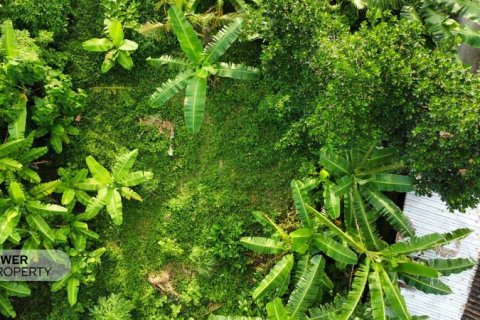400m2 Land in Tabanan, Indonesia No. 13323 20