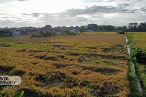 400m2 Land in Tabanan, Indonesia No. 13323 17