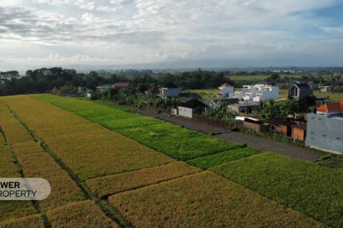 400m2 Land in Tabanan, Indonesia No. 13323 23