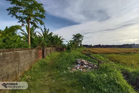 400m2 Land in Tabanan, Indonesia No. 13323 28