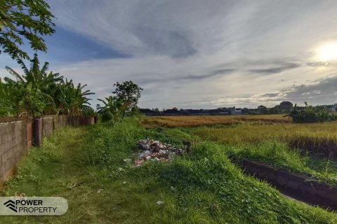 400m2 Land in Tabanan, Indonesia No. 13323