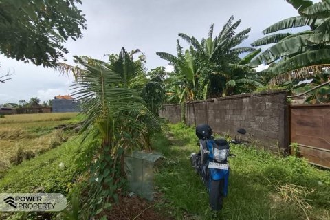 400m2 Land in Tabanan, Indonesia No. 13323 9