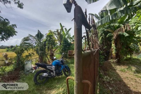 400m2 Land in Tabanan, Indonesia No. 13323 2