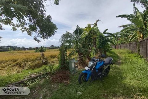 400m2 Land in Tabanan, Indonesia No. 13323 10