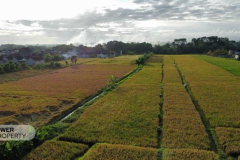 400m2 Land in Tabanan, Indonesia No. 13323 21