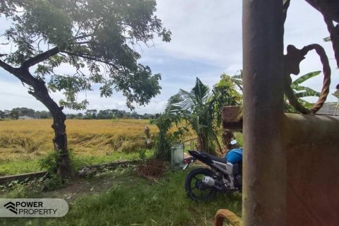 400m2 Land in Tabanan, Indonesia No. 13323 3