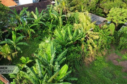 400m2 Land in Tabanan, Indonesia No. 13323 15