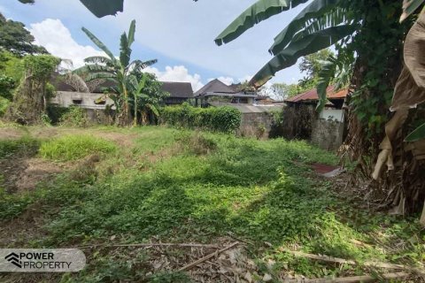 400m2 Land in Tabanan, Indonesia No. 13323 6