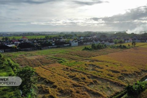400m2 Land in Tabanan, Indonesia No. 13323 22
